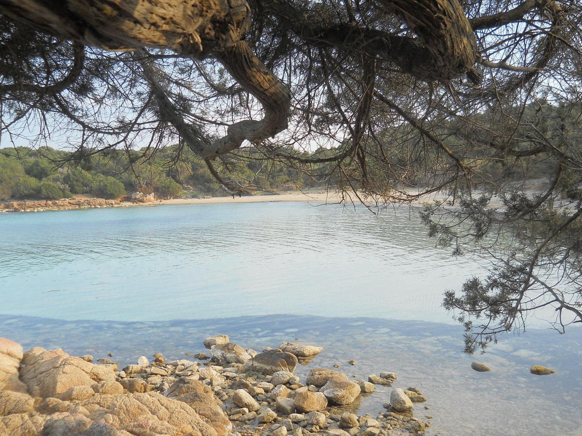 La Quercia della Gallura Luogosanto Esterno foto